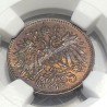 2 Heller 1894 Franz Joseph I NGC MS 65 BN Austria