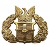 Regime of the Colonels Greek Air Force Hat Badge